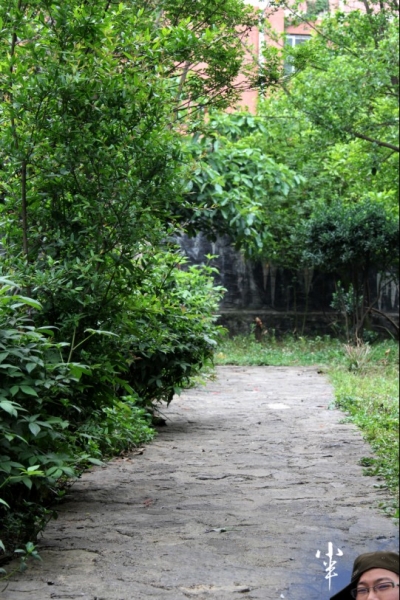 20110505-7.jpg