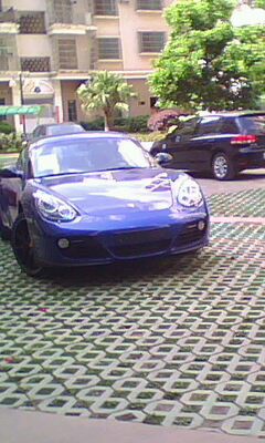 IMG0043A.jpg