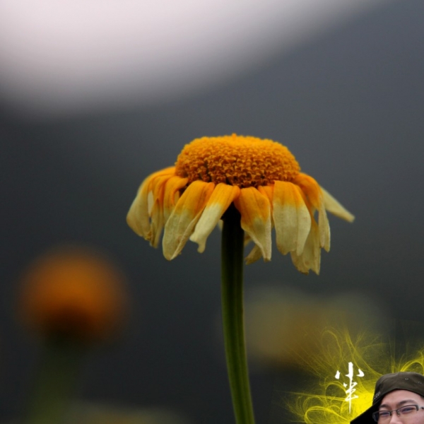 20110505-9.jpg