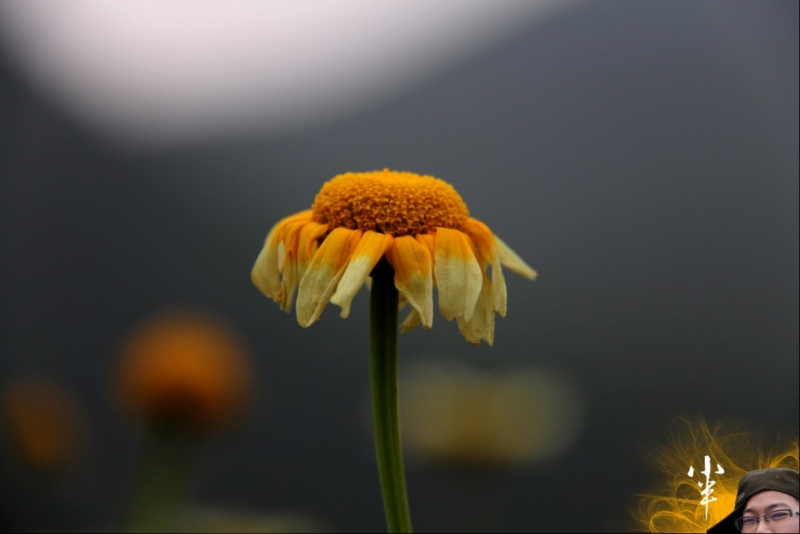 20110505-11.jpg