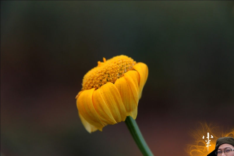 20110505-17.jpg