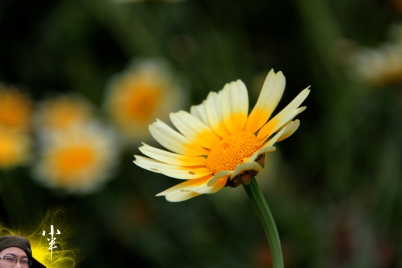 20110505-10.jpg