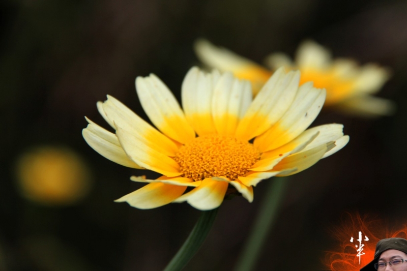 20110505-15.jpg