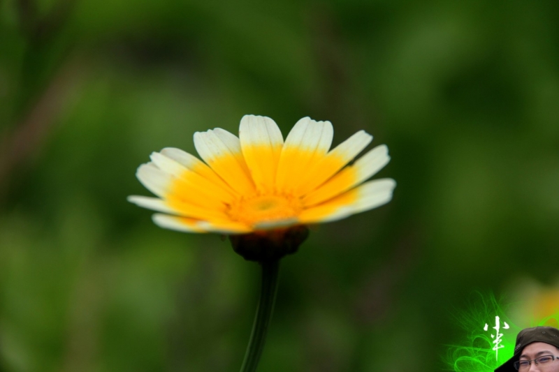 20110505-18.jpg