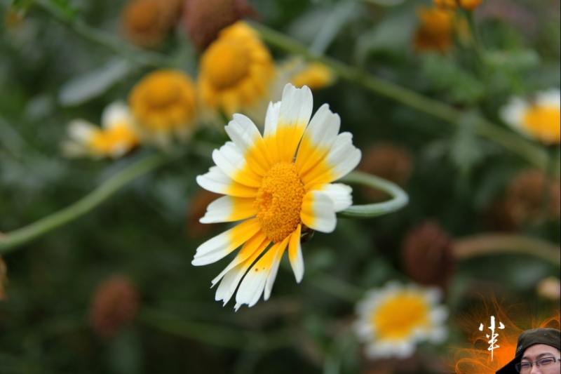20110505-20.jpg