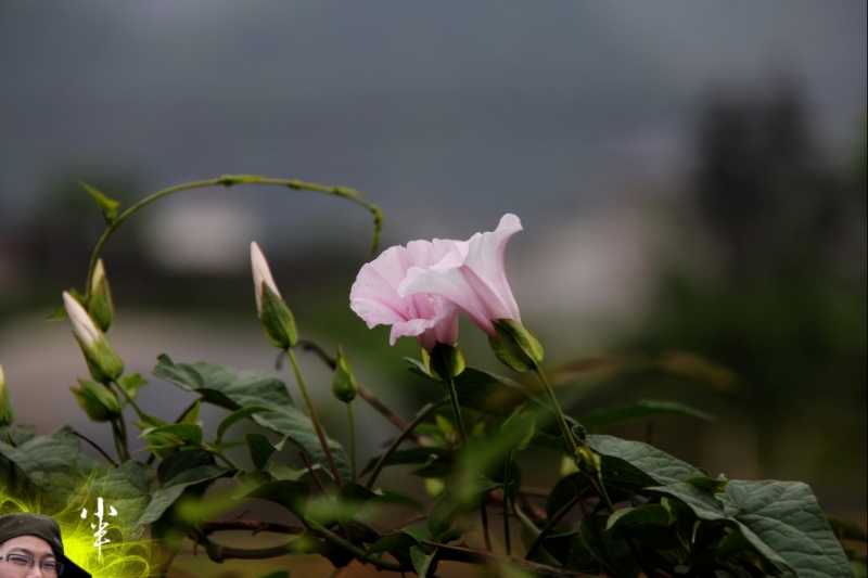 20110505-23.jpg