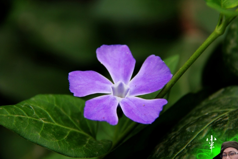 20110505-27.jpg