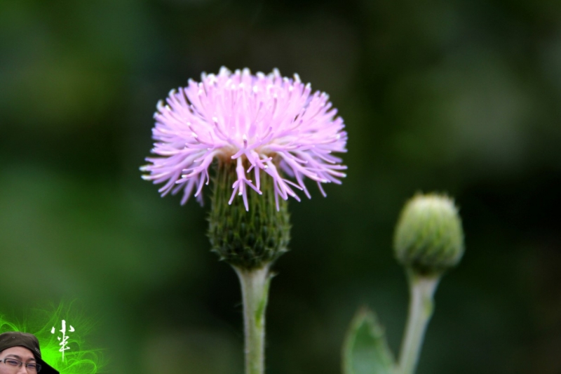 20110505-28.jpg