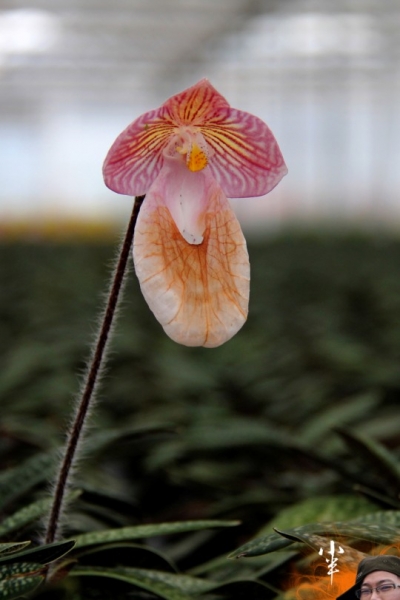 20110505-34.jpg