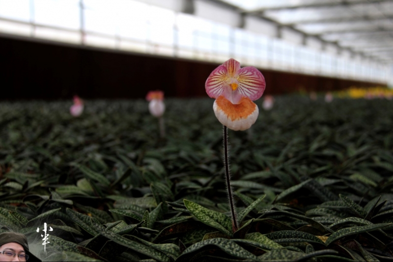 20110505-38.jpg