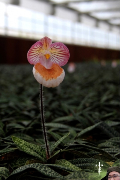 20110505-35.jpg