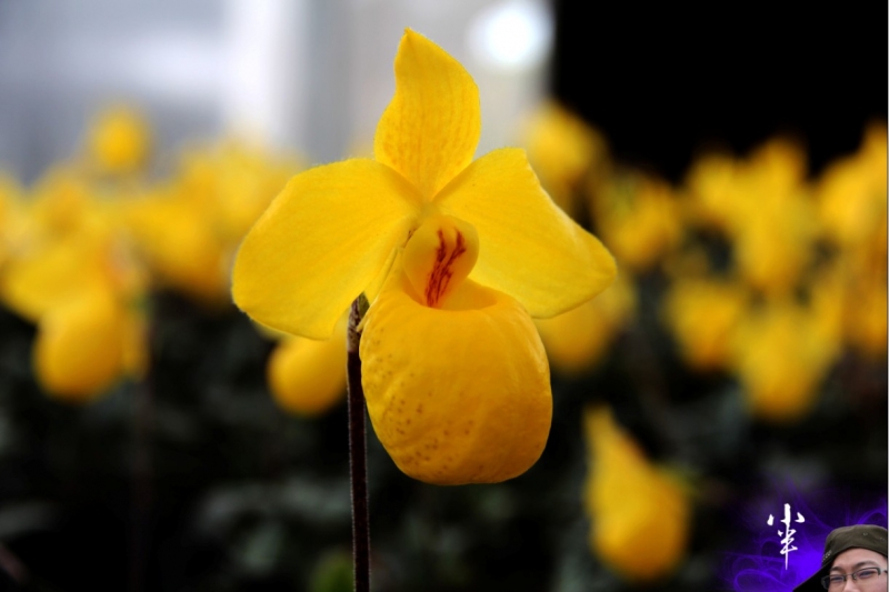 20110505-36.jpg