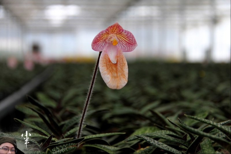 20110505-39.jpg