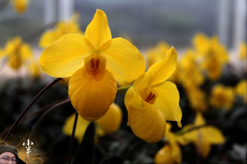 20110505-33.jpg