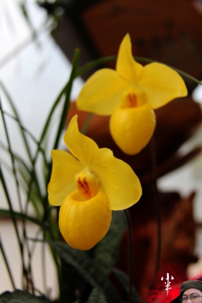 20110505-29.jpg