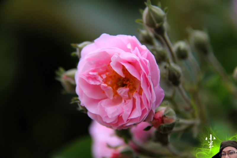 20110505-24.jpg