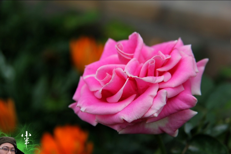 20110505-41.jpg