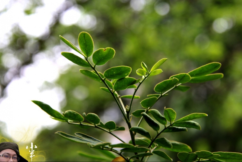 20110505-45.jpg