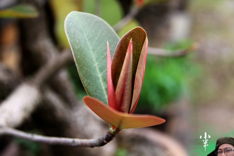 20110505-49.jpg