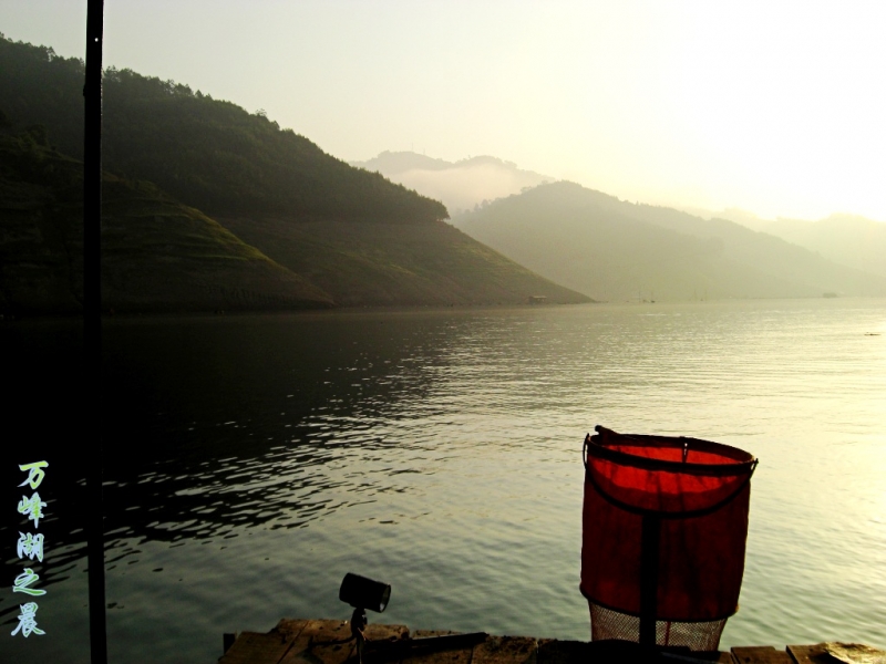 CIMG6574_conew1.jpg