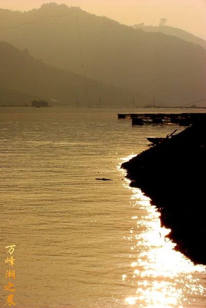 CIMG6577_conew1.jpg