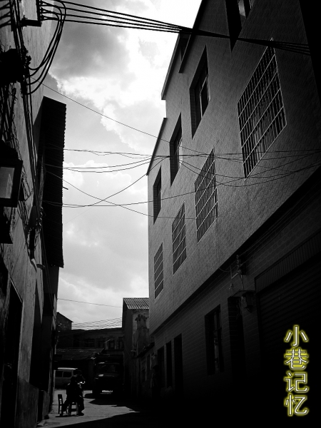 CIMG6602_conew1.jpg