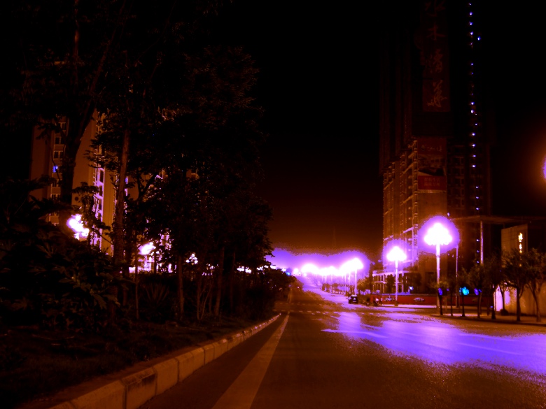 CIMG6627_conew1.jpg