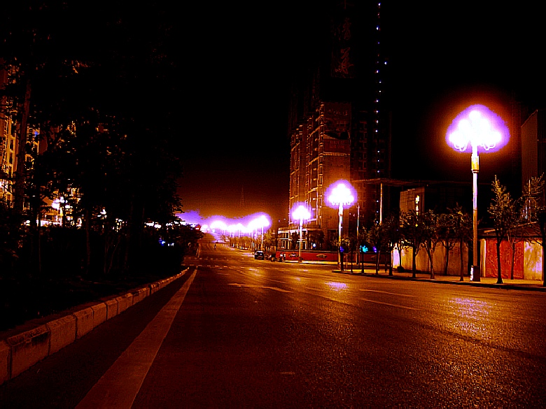 CIMG6628_conew1.jpg