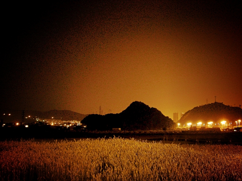 CIMG6650_conew1.jpg