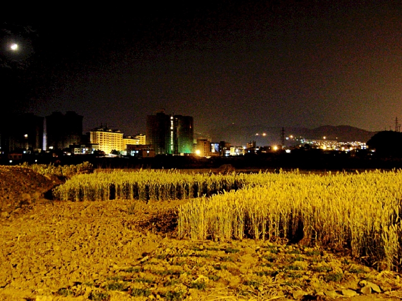 CIMG6651_conew1.jpg