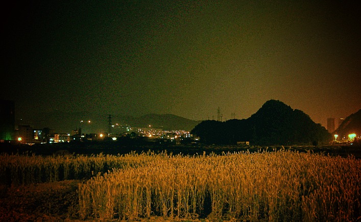 CIMG6655_conew1.jpg