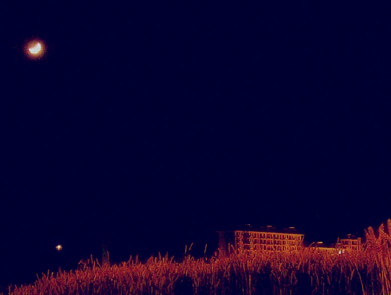 CIMG6657_conew1.jpg