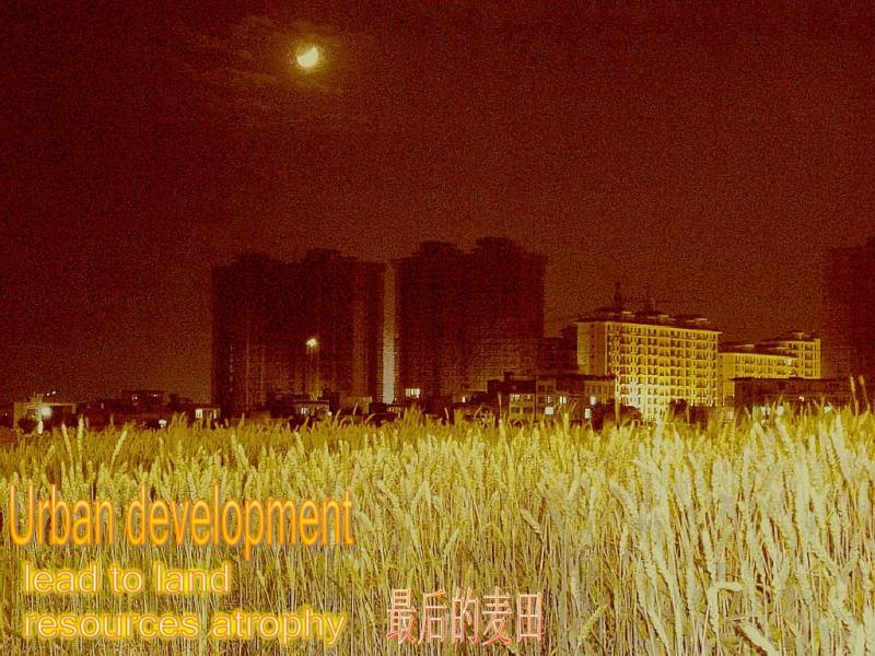 CIMG6663_conew1.jpg