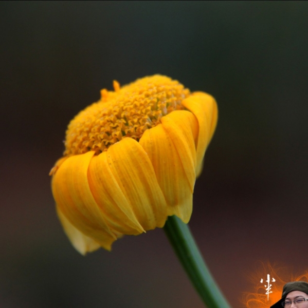 20110505-21.jpg