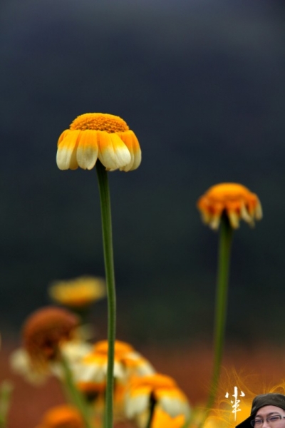 20110505-12.jpg