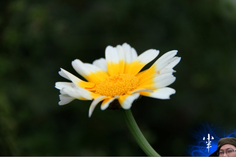 20110505-14.jpg