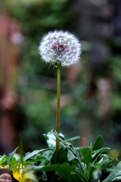 20110505-40.jpg