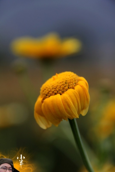 20110505-19.jpg