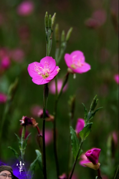 20110505-31.jpg