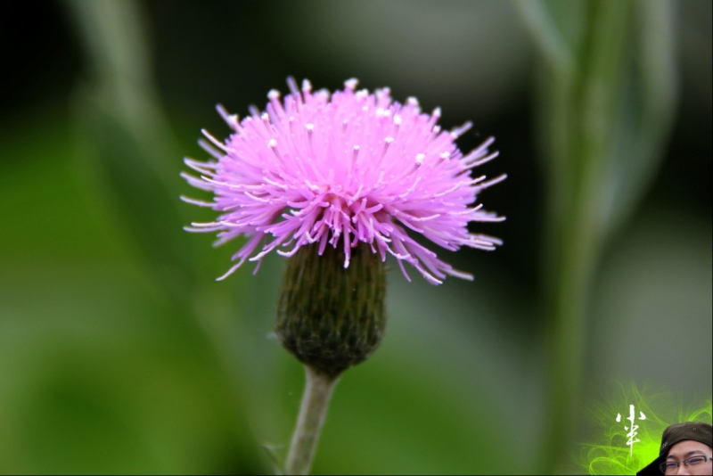 20110505-30.jpg
