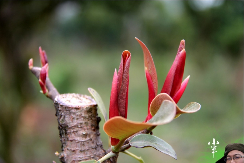 20110505-50.jpg
