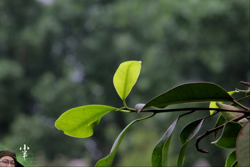 20110505-51.jpg