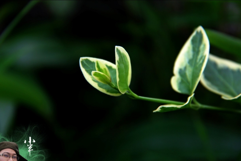 20110505-47.jpg