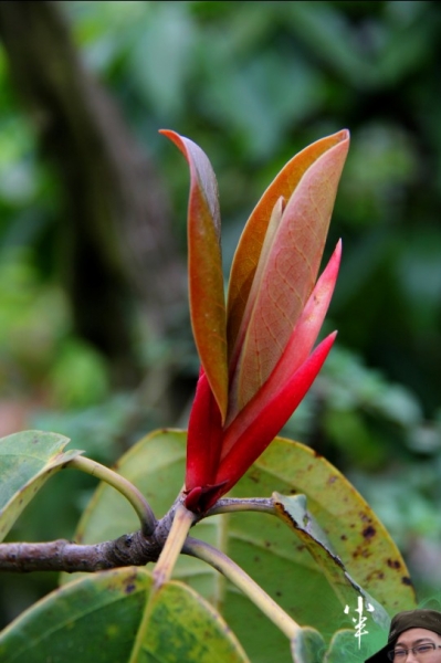 20110505-48.jpg