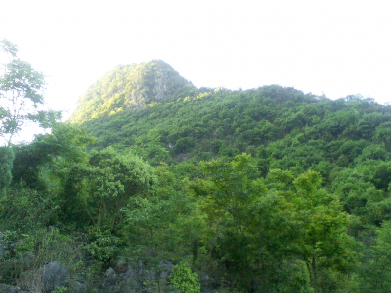 IMG0060A.jpg