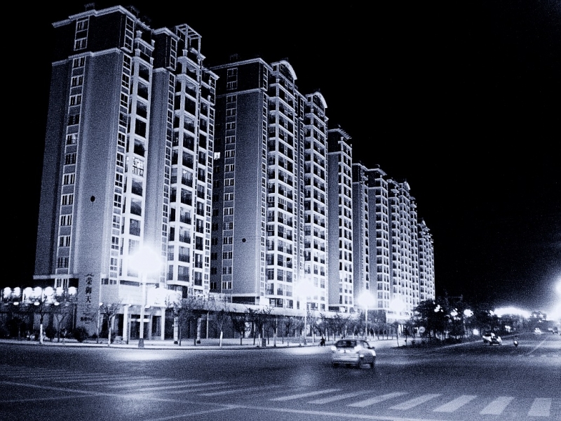 CIMG6704_conew1.jpg