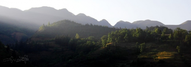 20110510-8.jpg