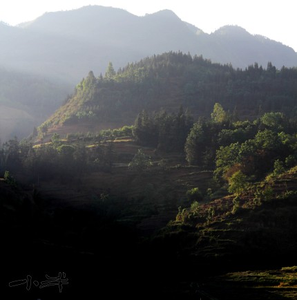 20110510--4.jpg