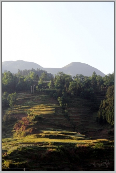20110510-6.jpg