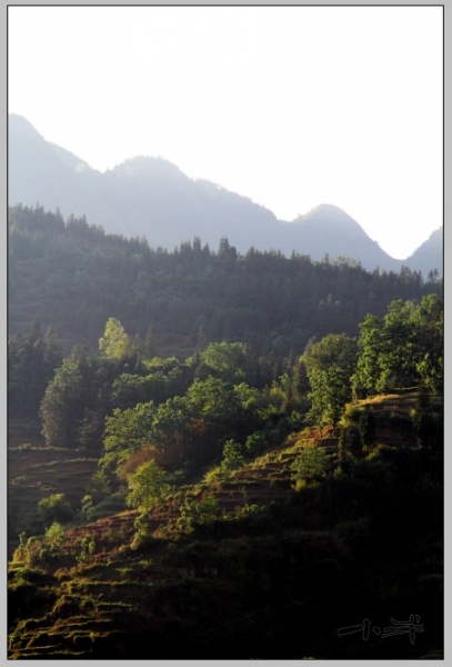 20110510-3.jpg